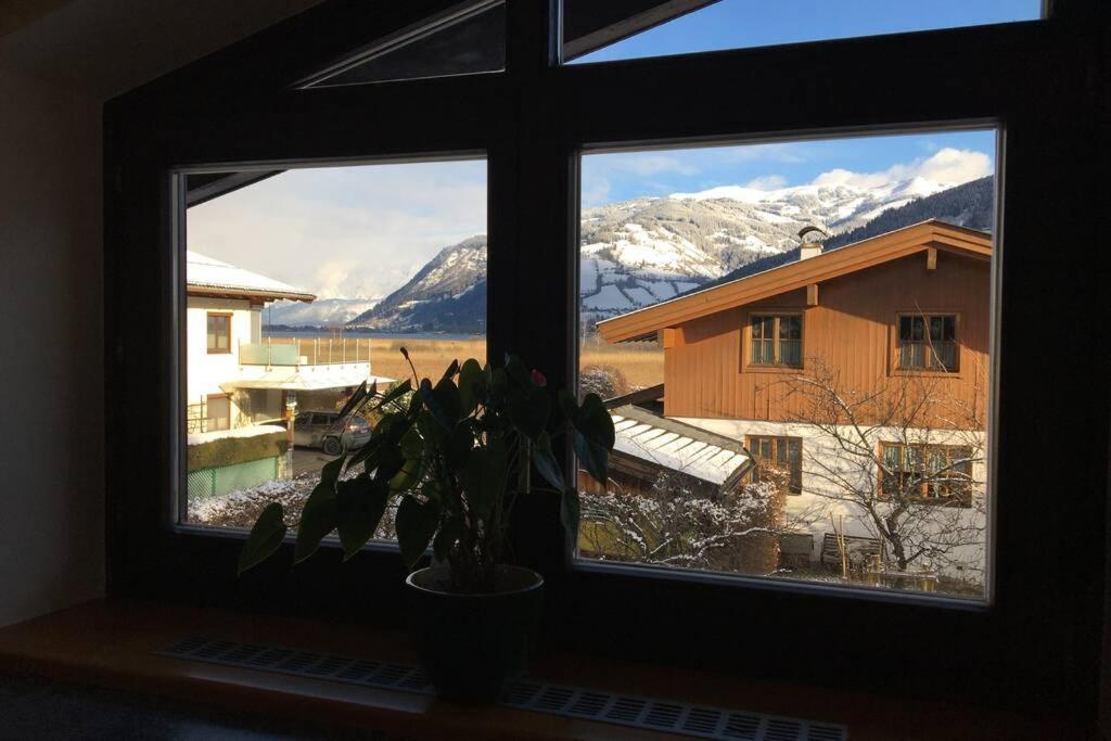Ferienwohnung Appartement Am Schilf Xl 滨湖采尔 外观 照片